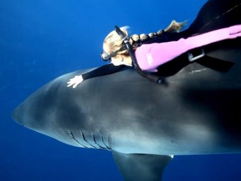 На Гавайях девушка прокатилась на акуле-убийце