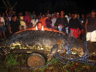 На Филиппинах самый крупный в мире крокодил-людоед умер от холода