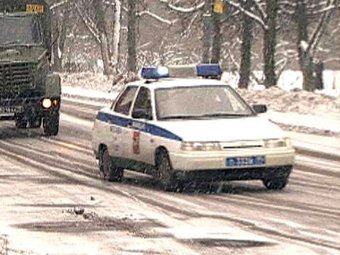 В Москве под корнем дерева нашли тайник с гранатами