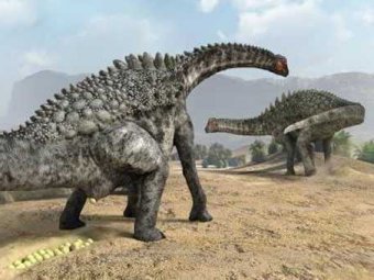 В Испании обнаружены яйца гигантских динозавров, отложенные 70 млн лет назад