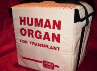СМИ: Органы погибших в США российских детей использовали для трансплантации