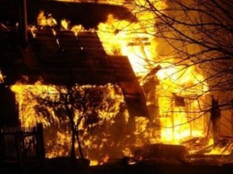 Пожар на конюшне в Подмосковье: более 20 лошадей сгорели заживо