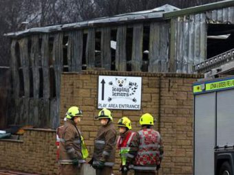 В шотландском зоопарке в пожаре погибли редкие животные