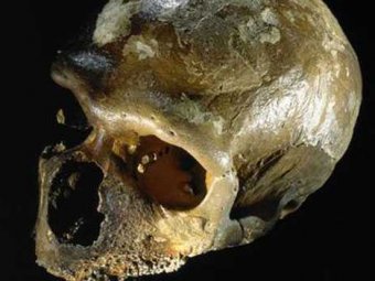 Учёные обнаружили первый в мире гибрид неандертальца и человека