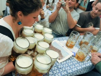 В 140 сортах пива из Германии обнаружили высокий уровень мышьяка