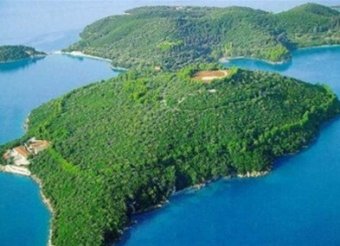 СМИ выяснили, кто из российских олигархов купил остров Онассиса