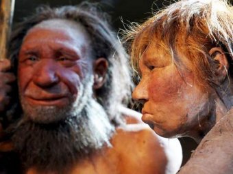 Учёные: неандертальцев съел современный человек