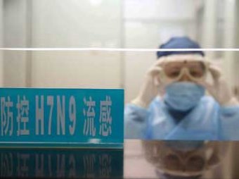 Новый смертоносный вирус птичьего гриппа начал передаваться от человека к человеку
