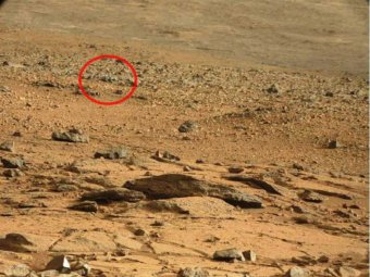 Житель Японии разглядел на поверхности Марса ящерицу