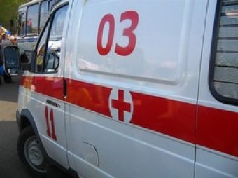 В Москве под упавшим деревом погиб трехлетний мальчик