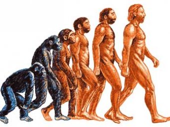 Ученые показали, как будут выглядеть люди через 100 тысяч лет