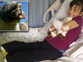 В Канаде женщине ампутировали ноги и руку после укуса домашней собаки
