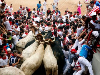 Забег с быками в Памплоне закончился кровавой давкой: животные врезались в толпу