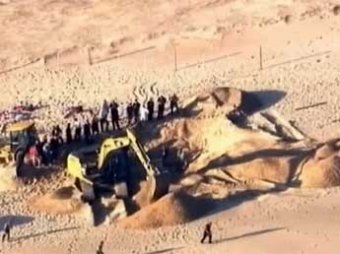Шестилетний американец выжил, будучи погребенным под трехметровой толщей песка