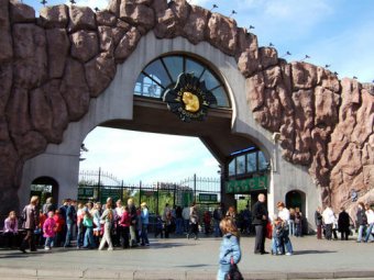 В Московском зоопарке обрушился помост: пострадали 11 человек