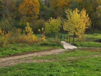 В Битцевском парке в Москве снова обнаружен труп зверски убитой женщины