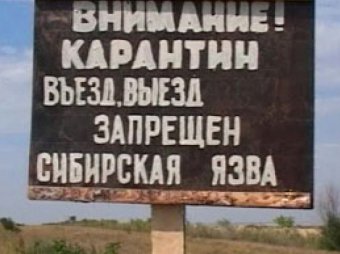 Вспышка сибирской язвы на Ставрополье: в регионе введён режим ЧС