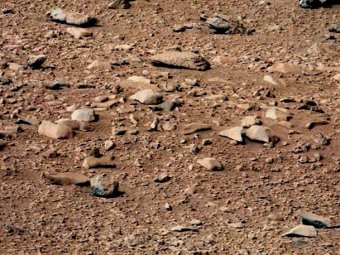 Учёные обнаружили на Марсе "хомяка"