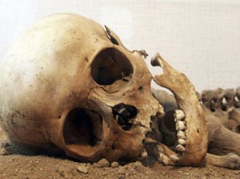 На стройке в Ярославской области нашли 15 скелетов