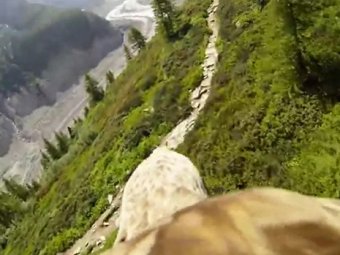 Новый хит Youtube: орнитологи сняли видео полёта "глазами" орла