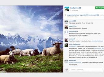 Голландец обвинил Кадырова в краже фото французских овец