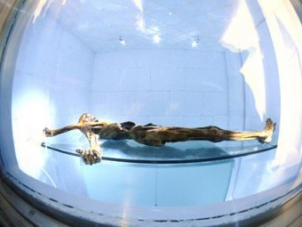 Учёные отыскали живых родственников 5300-летней мумии "ледяного человека"