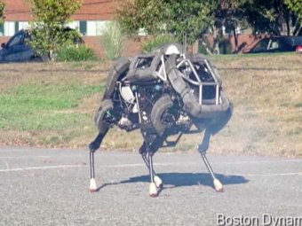 Самый быстрый в мире робот прошел уличные испытания