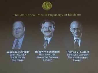Нобелевскую премию по медицине вручили за систему "выброса отходов" из клеток