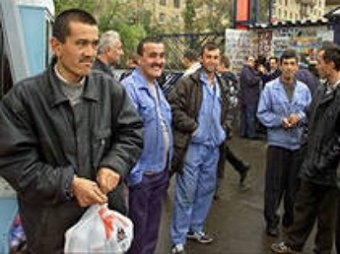 Более 60 нелегалов выдворены из России после проверки ФМС овощебазы в Долгопрудном