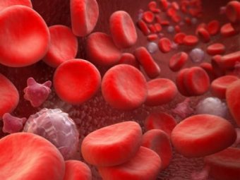 Ученые впервые создали искусственную кровь