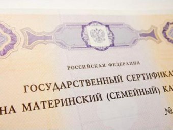 Полицейские раскрыли крупную аферу с материнским капиталом