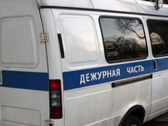 В огороде на Урале обнаружены останки пяти младенцев