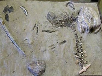 Ученые: скелет 24-тысячелетного мальчика из Сибири оказался предком коренных американцев