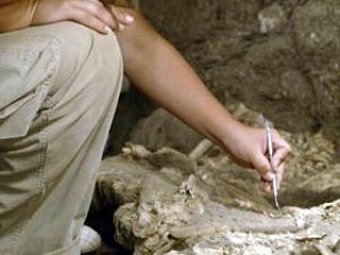 В Эфиопии нашли каменные копья старше человечества