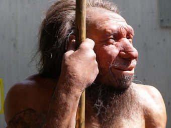 Учёные обнаружили неизвестный вид древних людей