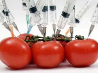 Правительство разрешило сеять в России ГМО