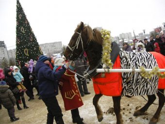 Лошадь Деда Мороза околела на глазах у детей в Иваново