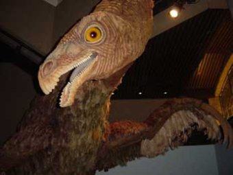 На Кузбассе нашли останки самого нестандартного динозавра