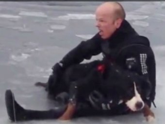 Видео, на котором житель Норвегии вытащил из ледяной воды тонущего пса, взорвало Сеть