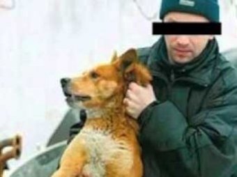 Во Владивостоке догхантер отравил около тысячи собак