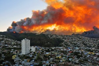Пожар в Чили уничтожил 2 тысячи домов, погибли 16 человек