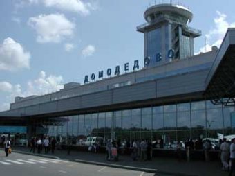 В "Домодедово" встала работа таможни из-за спецоперации силовиков