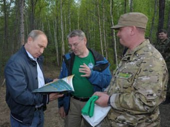 Путин отпустил на волю в тайгу амурских тигров Кузю и Борю