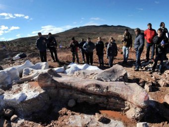 В Аргентине обнаружили целое "кладбище динозавров"