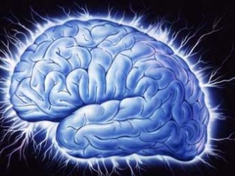 Ученые нашли часть мозга, где прячется сознание человека