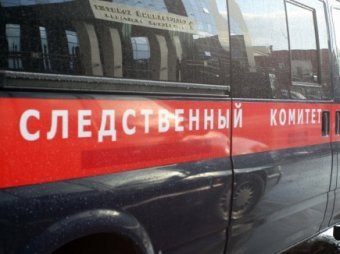 В Подмосковье грабители расстреляли пожилых дачников