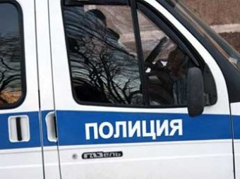 Московская полиция пересчитала городских сумасшедших
