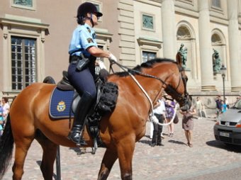 В Швеции конная полиция разогнала антифашистов