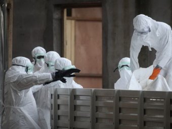 Лихорадка Эбола, последние новости 2014: в Африке от вируса скончались уже почти 900 человек