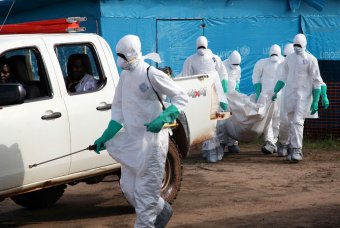 Вирус Эбола, последние новости: ВОЗ потратит  млн на борьбу со смертельно опасной болезнью